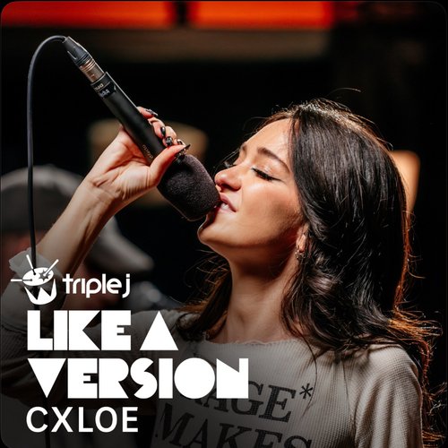 Good Luck, Babe! (triple j Like A Version) - Single