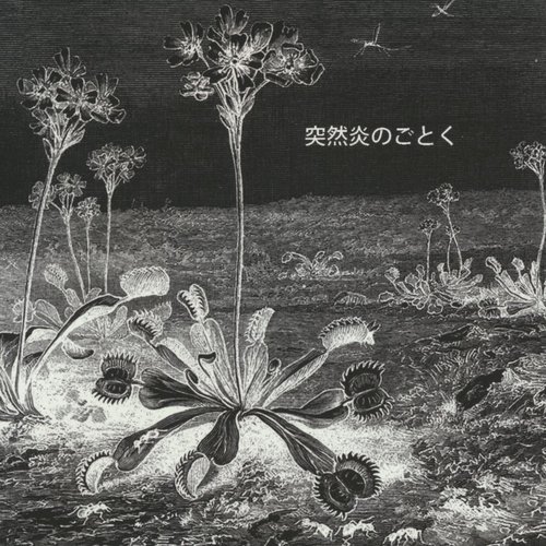 突然炎のごとく