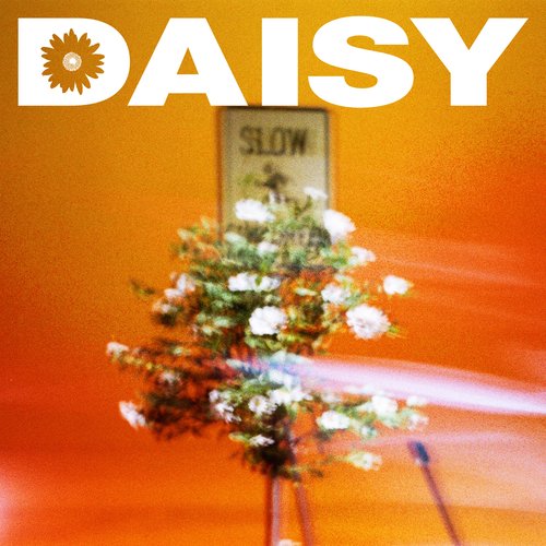 Daisy