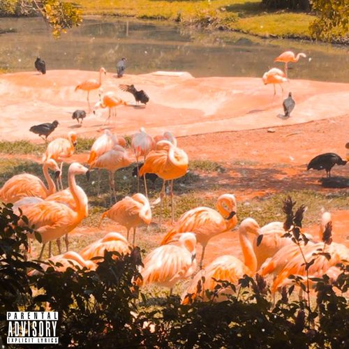 Crack Dreams [Explicit]