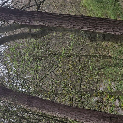 keep ahold of my eyes