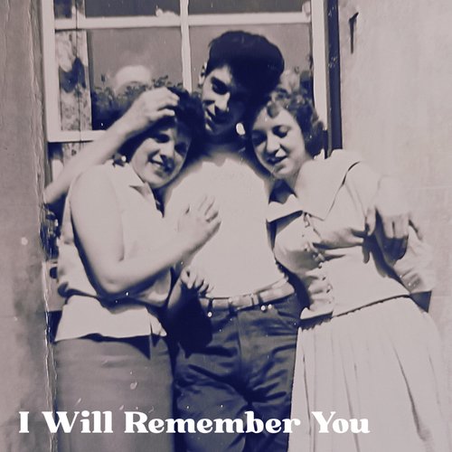 I Will Remember You