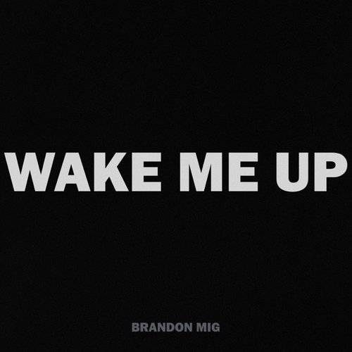 Wake Me Up