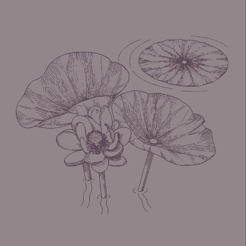 The Lotus-Eaters