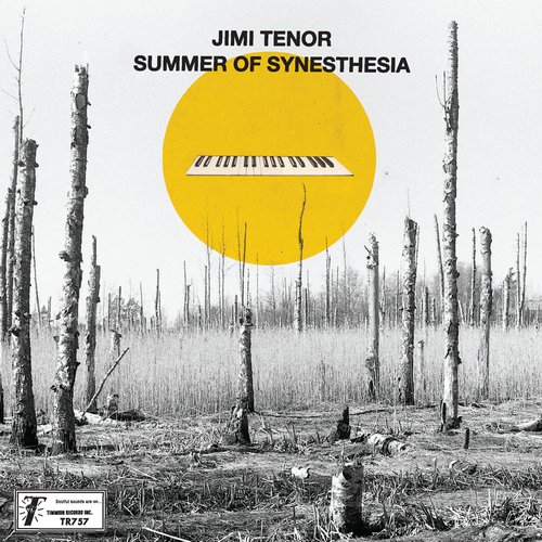 Summer Of Synesthesia