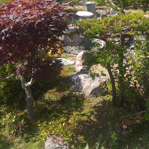 The Garden of the Past