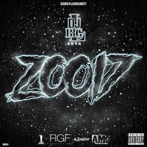 Zoo17