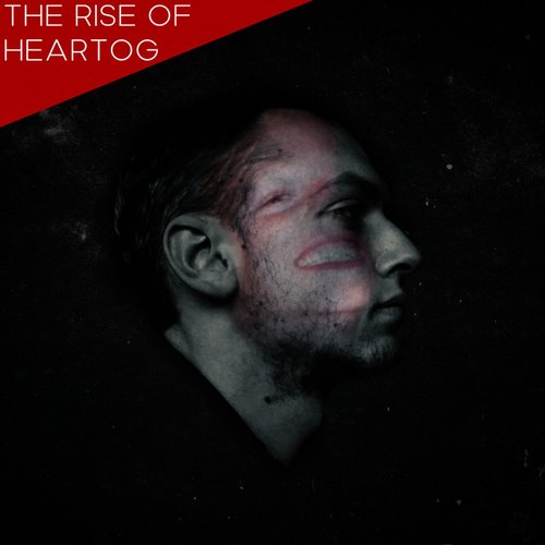 The Rise of HeartOG