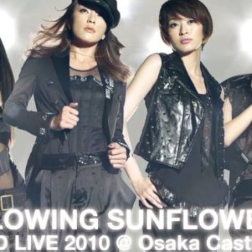GLOWING SUNFLOWER SPEED LIVE 2010@大阪城ホール (Live)