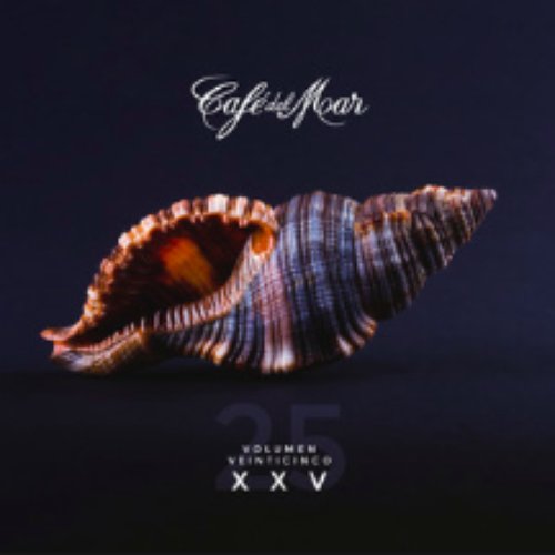 Cafe Del Mar Vol 7 Tracklist Cafe Del Mar Xxv Vol 25 Cafe Del Mar Last Fm