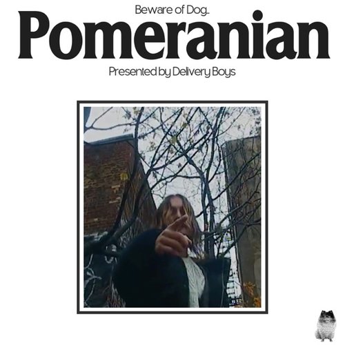 Pomeranian