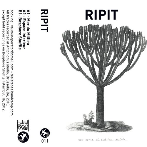 Ripit