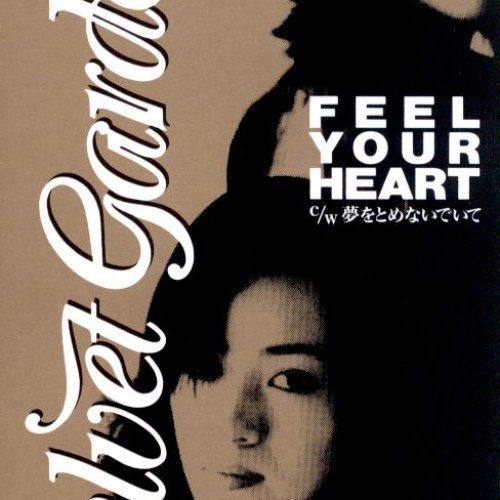 Feel Your Heart