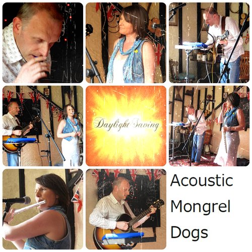 Acoustic Mongrel Dogs