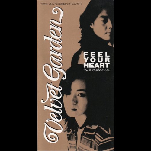 Feel Your Heart — Velvet Garden | Last.fm