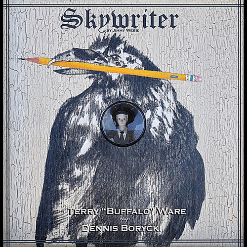 Skywriter