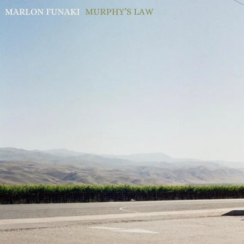 Murphy's Law