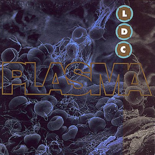 Plasma