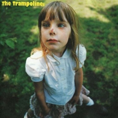 The Trampolines