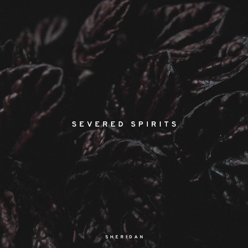 Severed Spirits
