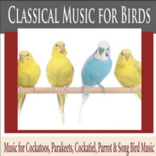 Classical Music for Birds: Music for Cockatoos, Parakeets, Cockatiel, Parrot & Song Bird Music