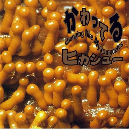 かわってる