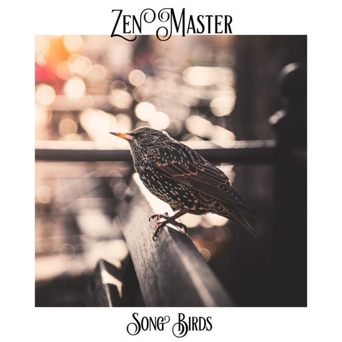 Song Birds