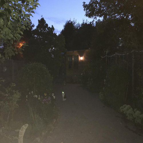 you caught me practising witchcraft on the school roof