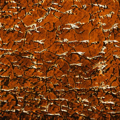 Walking Distance - Single
