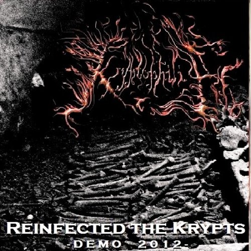Reinfected The Krypts