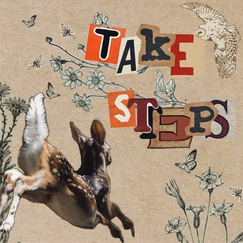Take Steps
