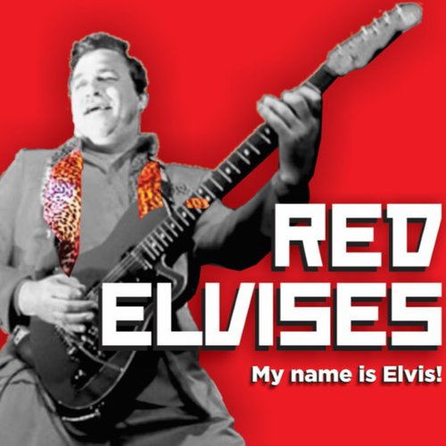 My Name Is Elvis!