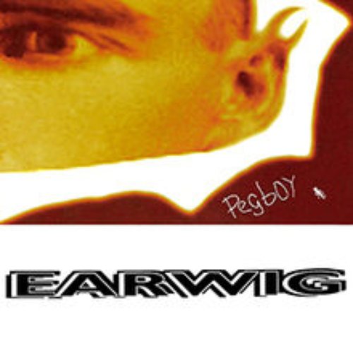 Earwig