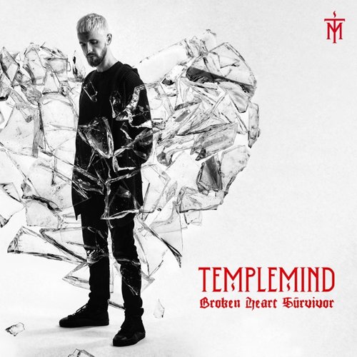 Broken Heart Survivor - Single