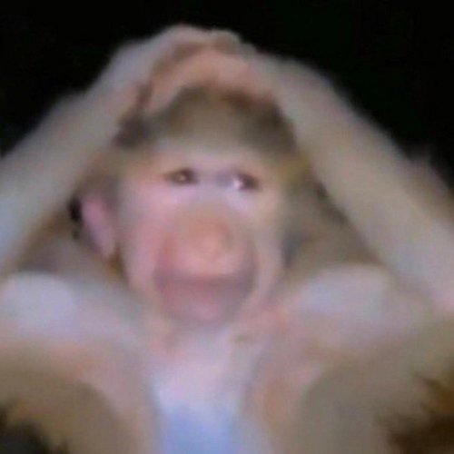 16 songs