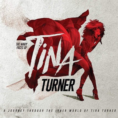 The Many Faces Of Tina Turner