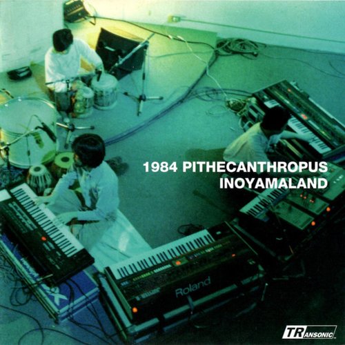 1984 Pithecanthropus