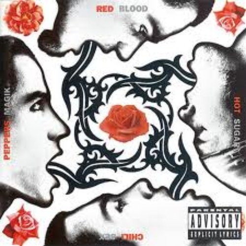 Blood Sugar Sex Magik (Audio Bundle w/ Bonus Tracks)