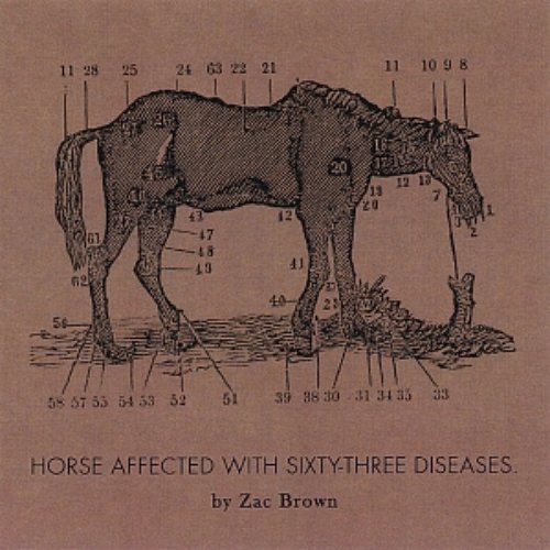 Ride the Sick Horse