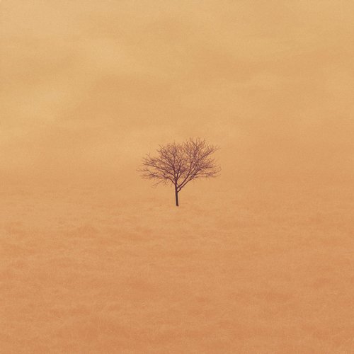 Waiting - Single