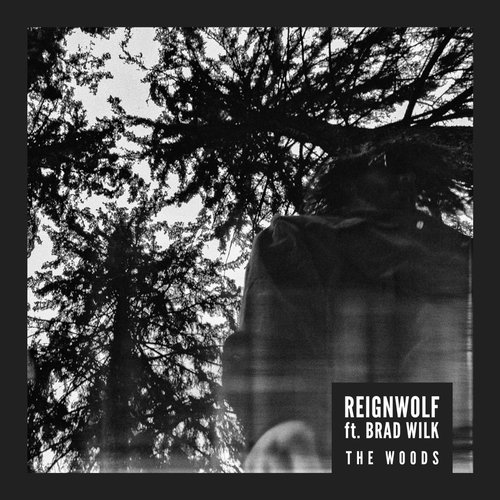 The Woods (feat. Brad Wilk) - Single