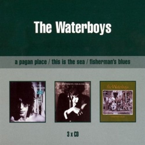 A Pagan Place / This Is The Sea / Fisherman's Blues