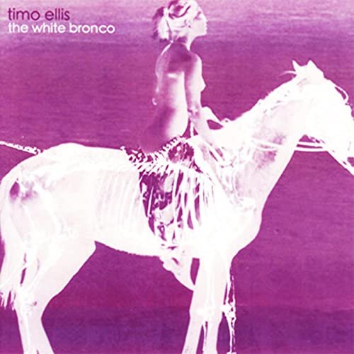 The White Bronco
