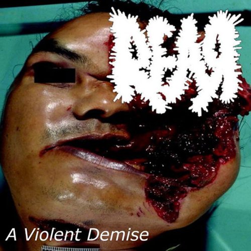 A Violent Demise