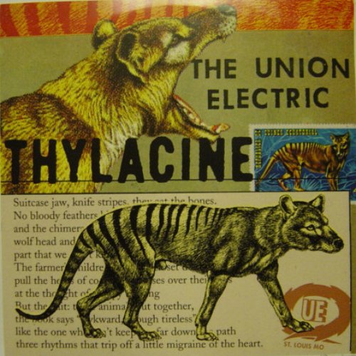 Thylacine / Bugs