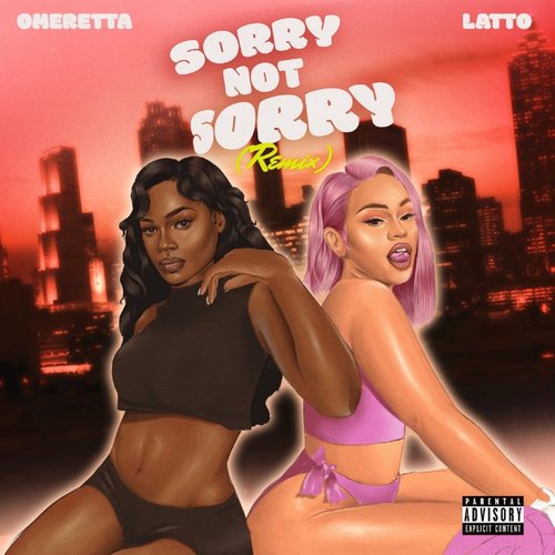 Sorry Not Sorry (Remix)