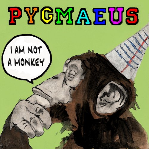 I Am Not A Monkey