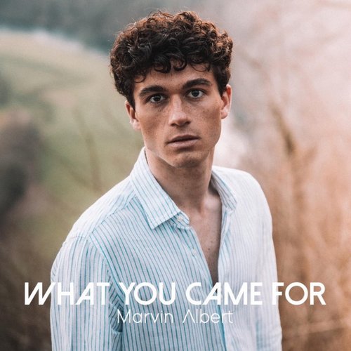What You Came For