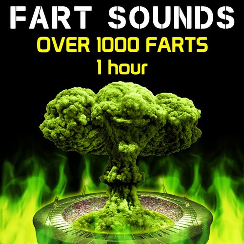 Fart Sounds - Over 1000 Farts (1 Hour)