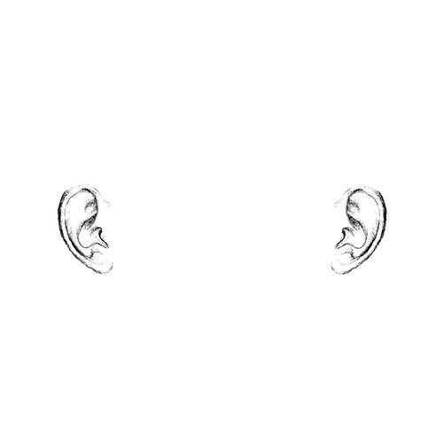 D Ear